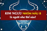 Đặc điểm Kim Ngưu nhóm máu B qua các khía cạnh tình yêu, công việc