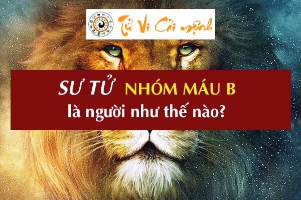 cung-su-tu-nhom-mau-b-1