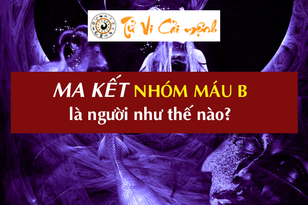 cung-ma-ket-nhom-mau-b-1