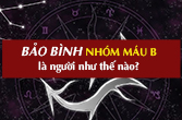 Cung Bảo Bình nhóm máu B về tính cách, tình yêu, sự nghiệp, sức khỏe