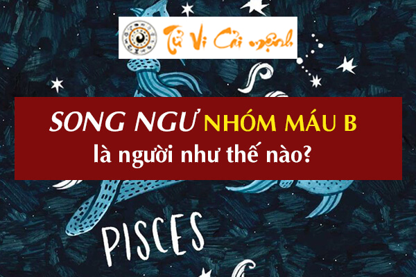 cung-song-ngu-nhom-mau-b-1