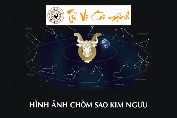 hinh-anh-chom-sao-kim-nguu
