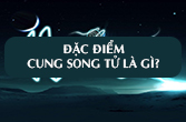 Giải mã cung Song Tử: Đàn ông và phụ nữ Song Tử có gì khác biệt?