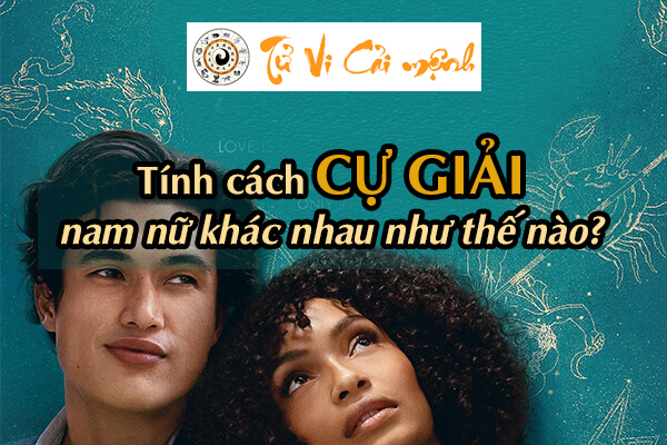 tinh-cach-cung-cu-giai-2