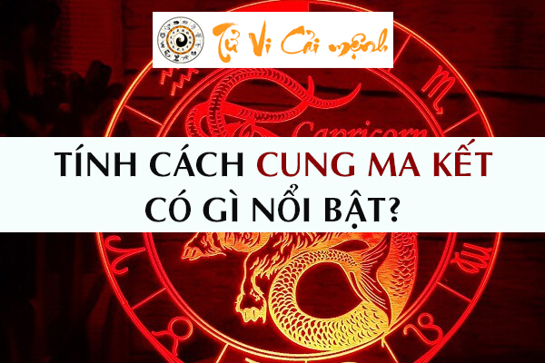 tinh-cach-cung-ma-ket-1