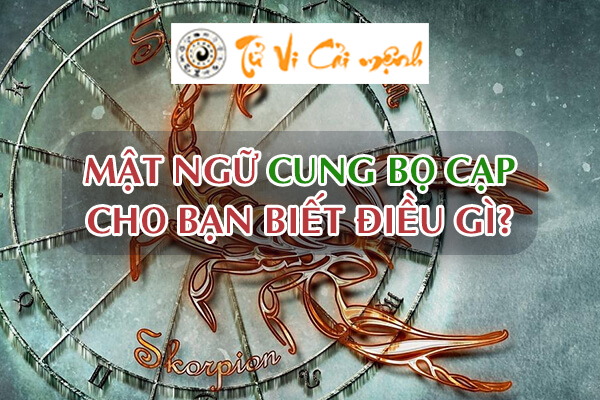 tong-quan-cung-bo-cap-1