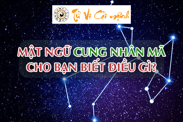 tong-quan-cung-nhan-ma-1