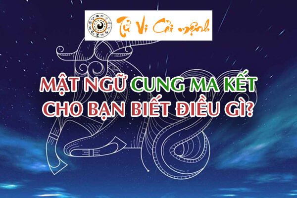 tong-quan-cung-ma-ket-1