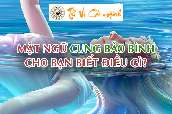 tong-quan-cung-bao-binh-1