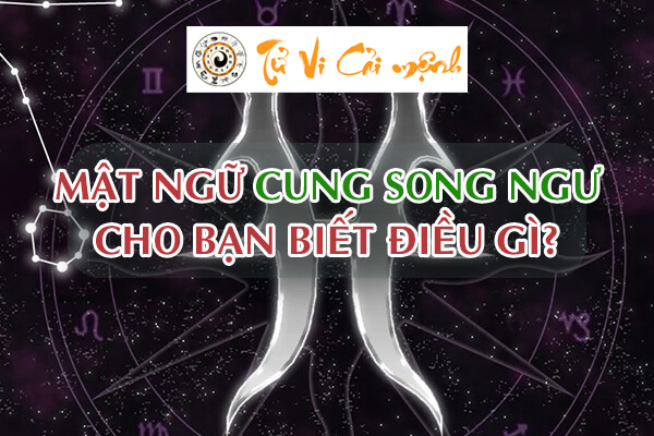 tong-quan-cung-song-ngu-1