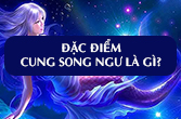 Đặc điểm chòm sao Song Ngư và các khía cạnh cuộc sống cung Song Ngư