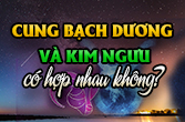 Tình yêu cung Kim Ngưu và Bạch Dương có đặc điểm gì theo chiêm tinh?