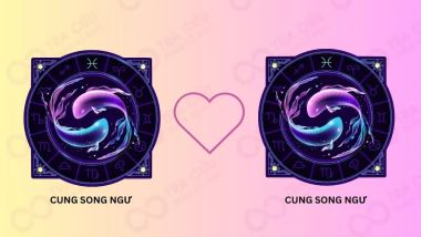 Tình yêu Cung Song Ngư và Song Ngư có hợp nhau không?