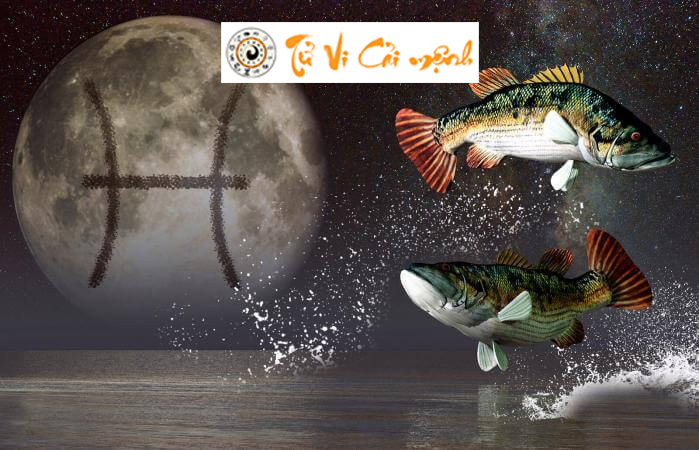 Tìm hiểu thế giới cảm xúc của cung Mặt Trăng Song Ngư và 12 sun sign