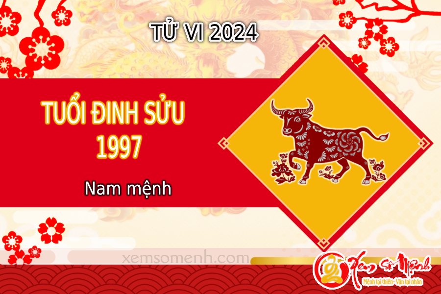 Luận tử vi tuổi Đinh Sửu 1997 nam mạng năm 2024 chi tiết nhất!