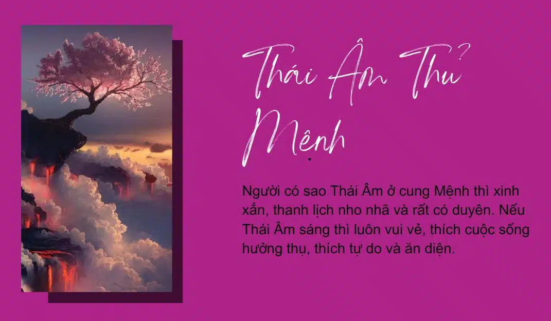 Cơ Nguyệt Đồng Lương có Thái Âm thủ cung Mệnh