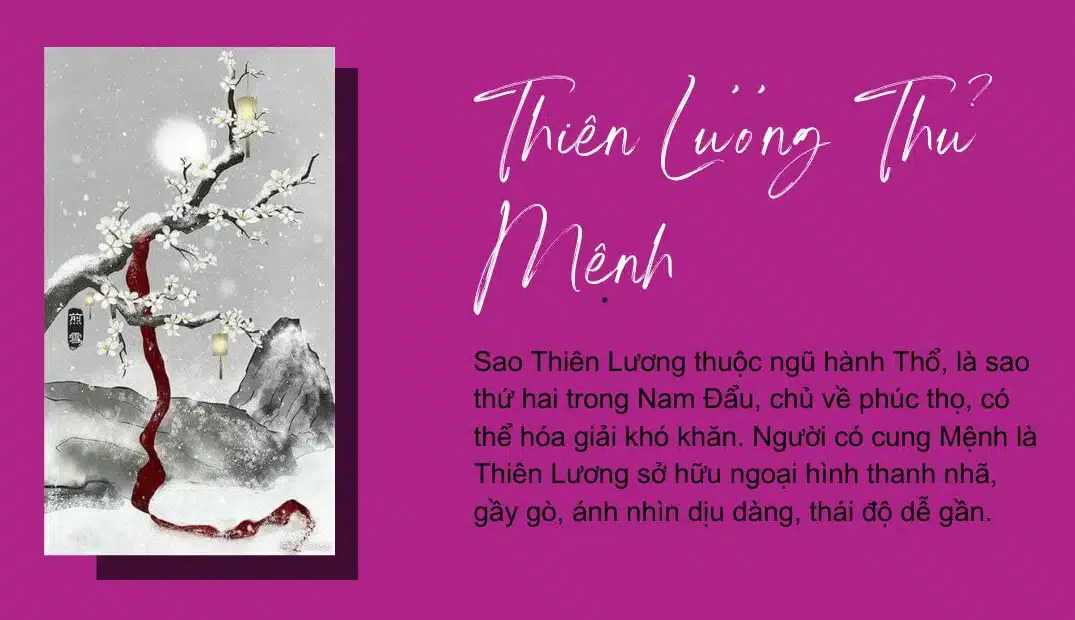 Cơ nguyệt đồng lương có Thiên Lương thủ cung Mệnh