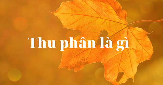 Tiết Thu phân là gì và những điều cần biết về tiết Thu phân trong năm