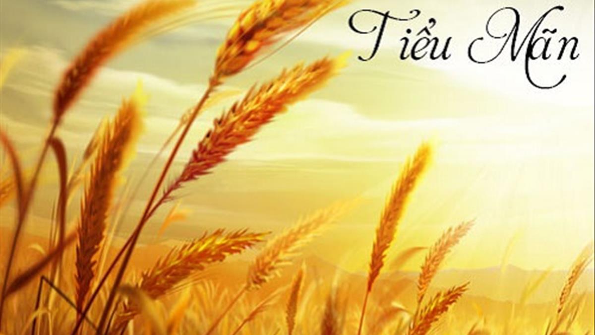 Tiết Tiểu Mãn là gì