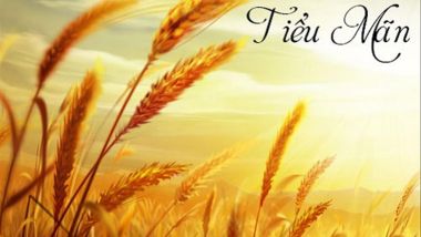 Tiết Tiểu Mãn là gì? Bắt đầu từ ngày nào và những đặc điểm bạn cần biết