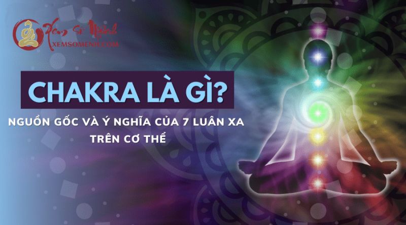 Luân Xa Là Gì? Và 7 Luân Xa trên cơ thể bạn nên biết