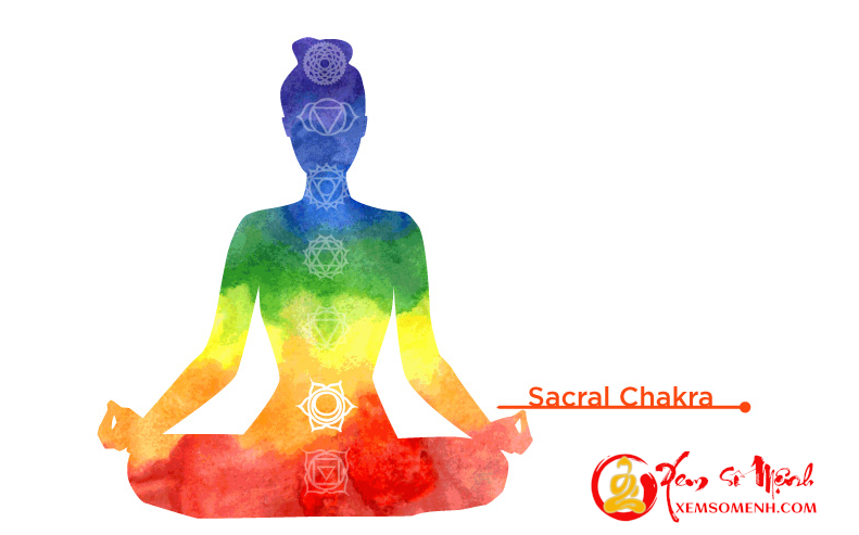 Luân xa thiêng liêng-svadhisthana