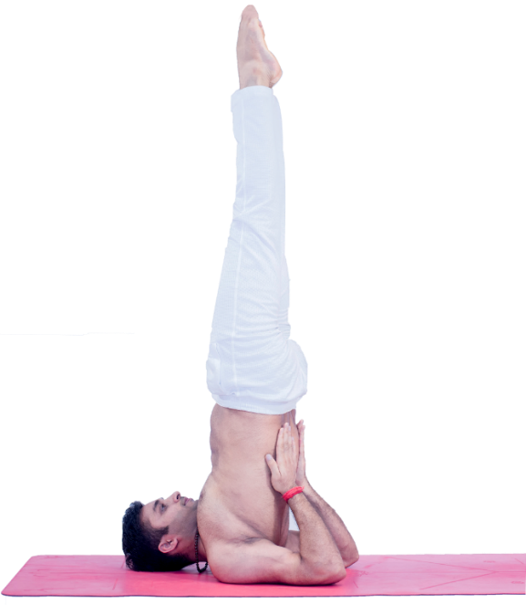 Tư thế cây nến