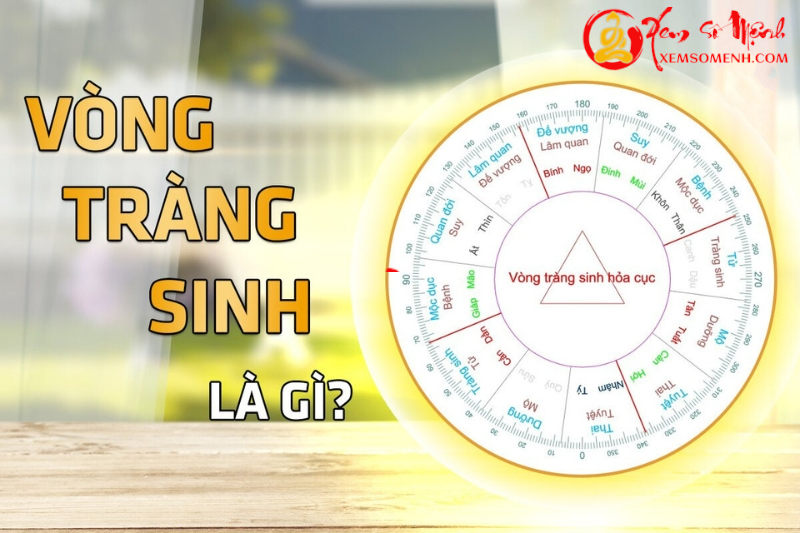 Vòng Tràng Sinh và cách an vòng trành sinh