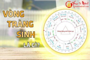 Vòng Tràng Sinh - Cách An 12 Sao Và Ý Nghĩa Từng Sao