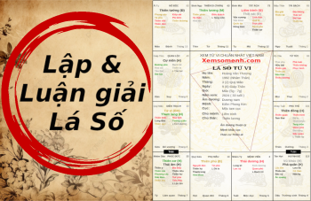 Các bước luận giải lá số tử vi trọn đời bạn nên biết
