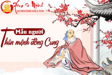 Đặc Điểm Người Có Thân Mệnh Đồng Cung Chi Tiết