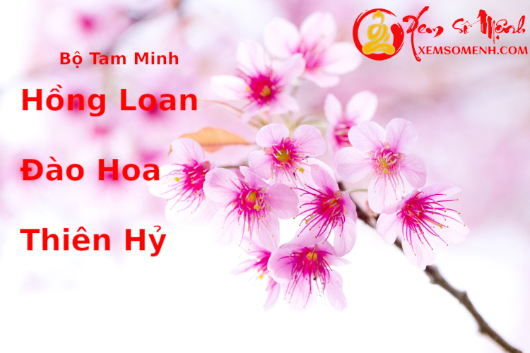 Tam Minh Đào Hồng Hỷ Trong Tử Vi Chi Tiết