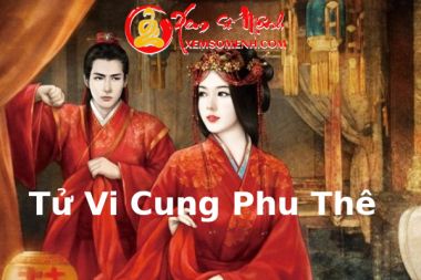 Ý Nghĩa Sao Tử Vi đóng tại Cung Phu Thê Trong Tử Vi