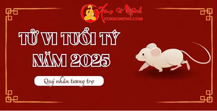 Tử Vi Tuổi Tý Năm 2025 Chi tiết