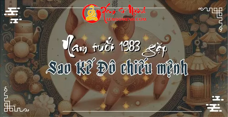 tử vi tuổi quý hợi năm 2025 nam mạng