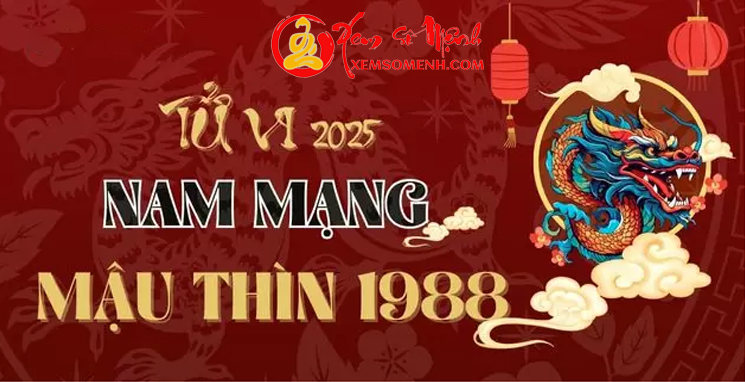 Tử vi tuổi Mậu Thìn 1988 Nam mạng năm 2025 - Thổ Tú Chiếu Mệnh