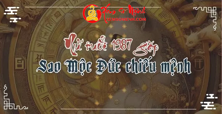 tử vi tuổi Đinh mão nữ mạng năm 2025