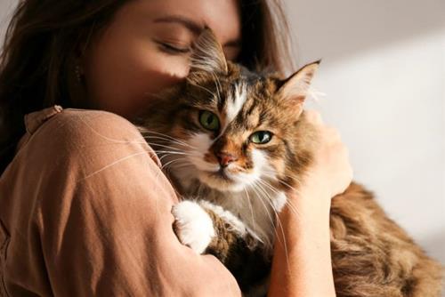 Câu chuyện về quả báo của việc hành hạ động vật Cau chuyen ve qua bao cua viec hanh ha dong vat