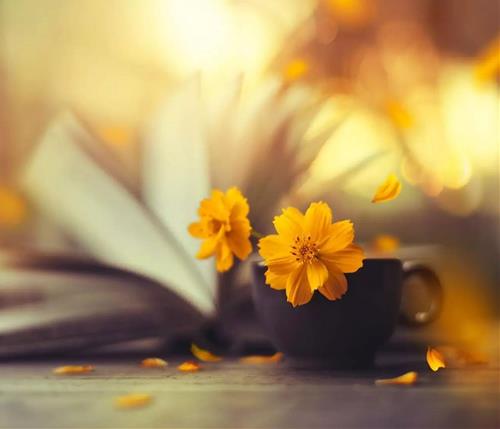 Phat day cach doi pho voi ke tieu nhan 6 Phat day cach doi pho voi ke tieu nhan 6