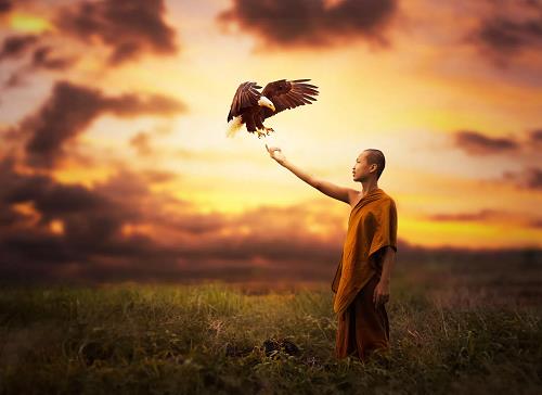 không đố kị khong do ki