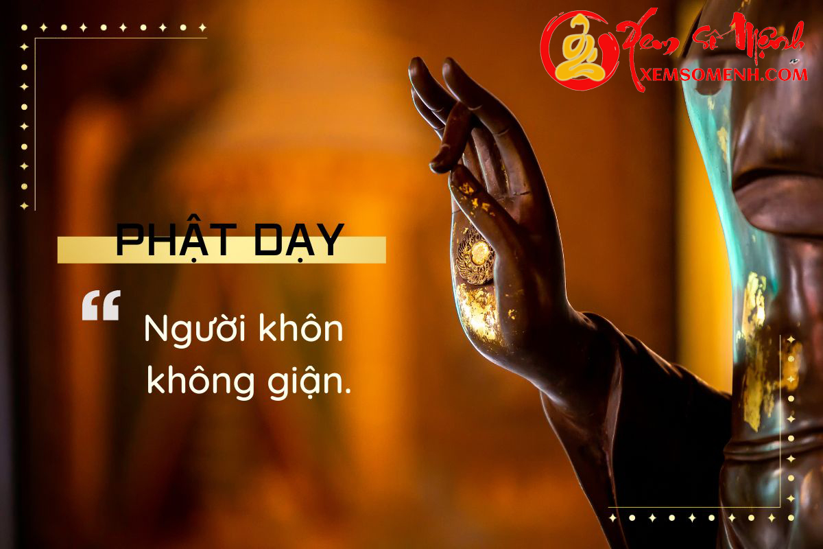 Người khôn không giận Nguoi khon khong gian