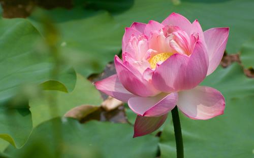 Sống biết tôn trọng người khác Song biet ton trong nguoi khac