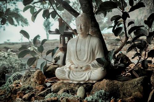 Phật dạy 4 hạng người sống khổ nhất Phat day 4 hang nguoi song kho nhat