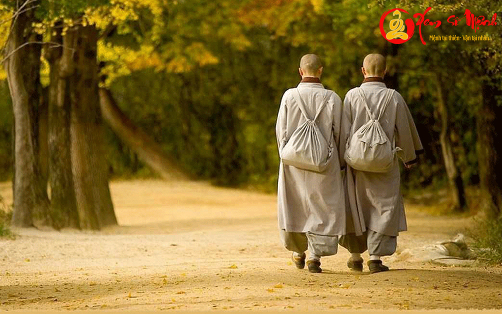 Lời Phật Dạy: Buông Bỏ Con Bò Vật Chất Để Tâm An Nhiên