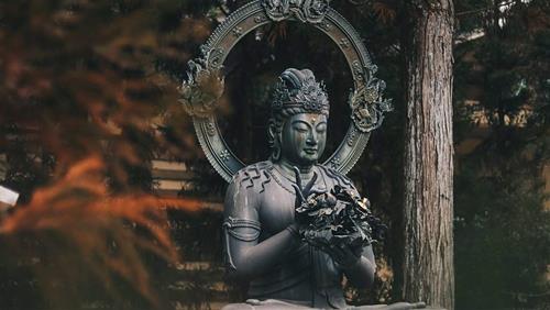 Diem lanh bao hieu gia dinh co phuc theo loi Phat day Điềm lành báo hiệu gia đình có phúc theo lời Phật dạy