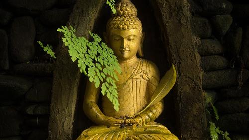 Cách làm giàu không mất phước Cach lam giau khong mat phuoc