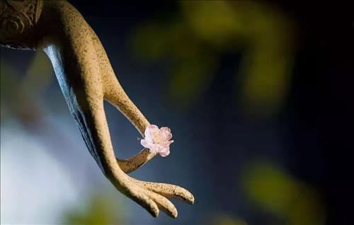 Lắng nghe lời Phật dạy về 5 chữ ĐỪNG, cuộc đời đổi thay mỗi ngày