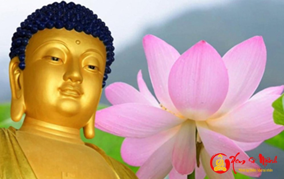 Buông bỏ lòng ghen tị chỉ với 4 điều đơn giản Phật dạy