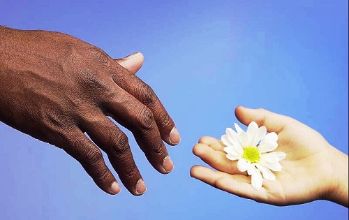 Bo thi dung cach - huong thu khi hoc Phat hinh anh