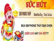 Thầy phong thủy Giải đáp vấn đề giá sim điện thoại phong thủy